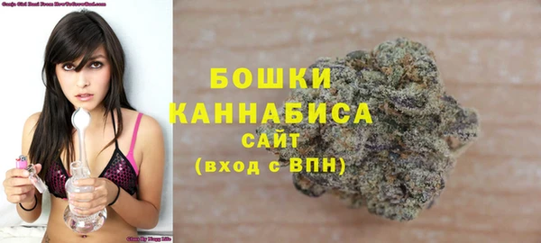 твердый Бронницы