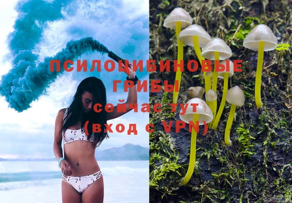 бутик Бородино