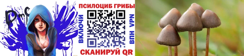 Купить  Гдов  Псилоцибиновые грибы мухоморы 